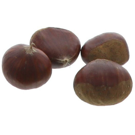 MARRON GROUPE 2 / 10KG